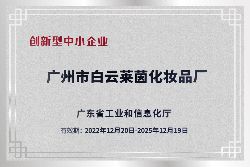 莱茵荣获创新型中小企业称号！