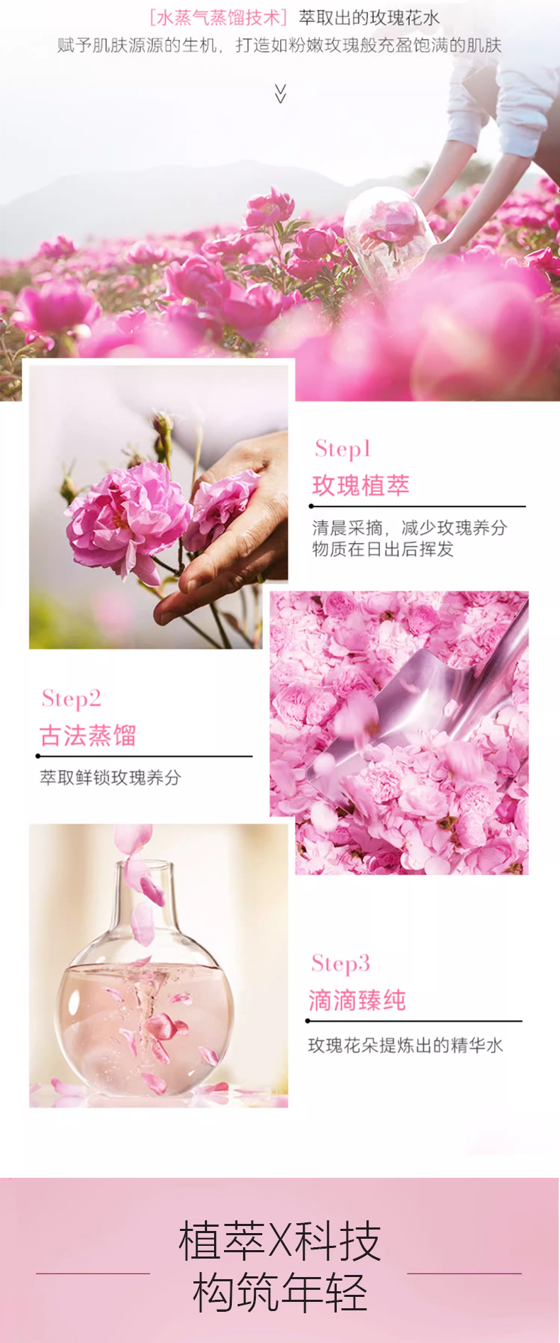 玫瑰紧致精萃液