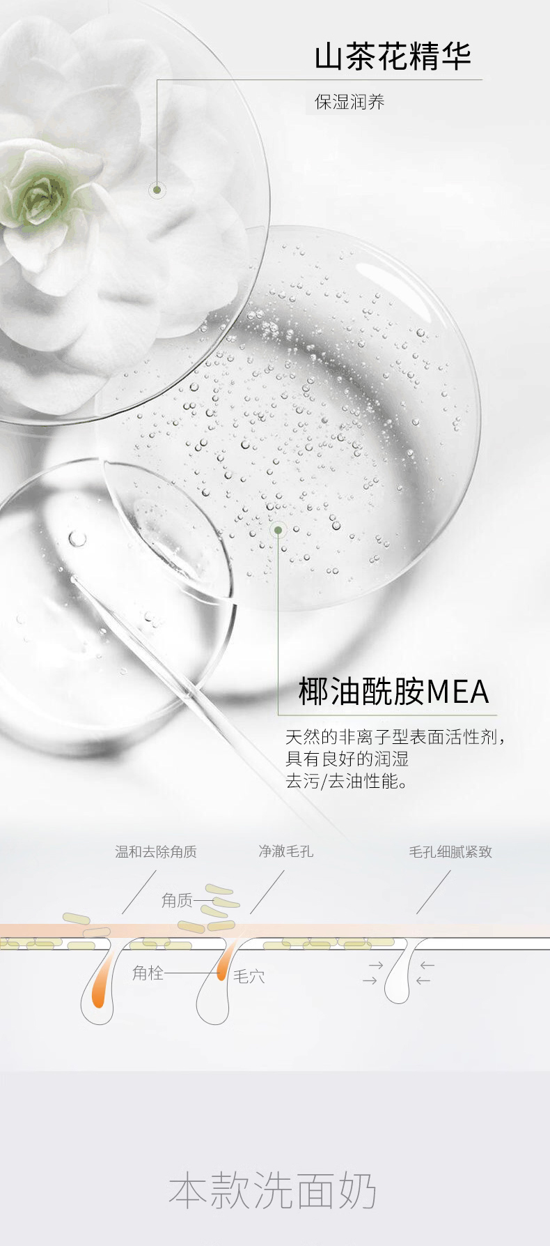 山茶花洗面奶详情页_03