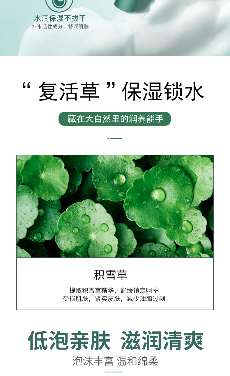 积雪草洗面奶详情页_03