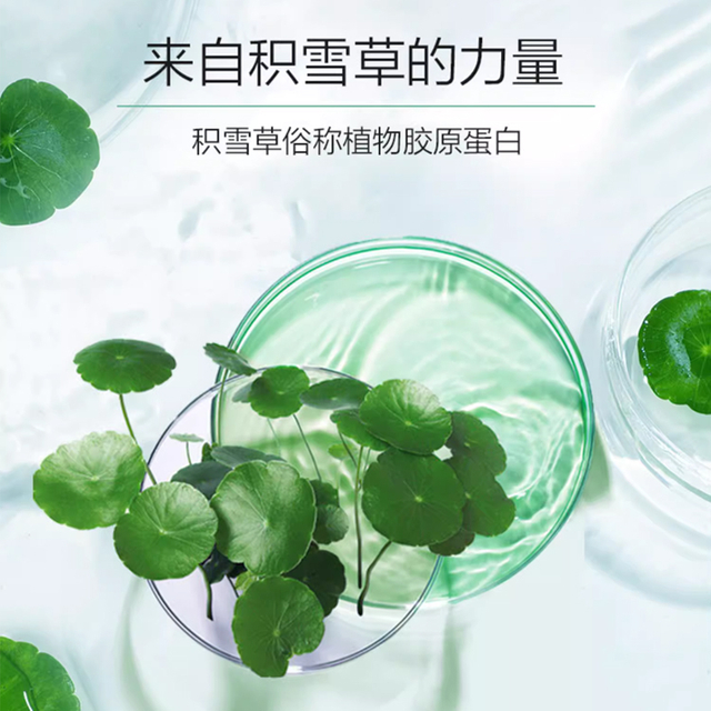 积雪草舒缓修复面膜