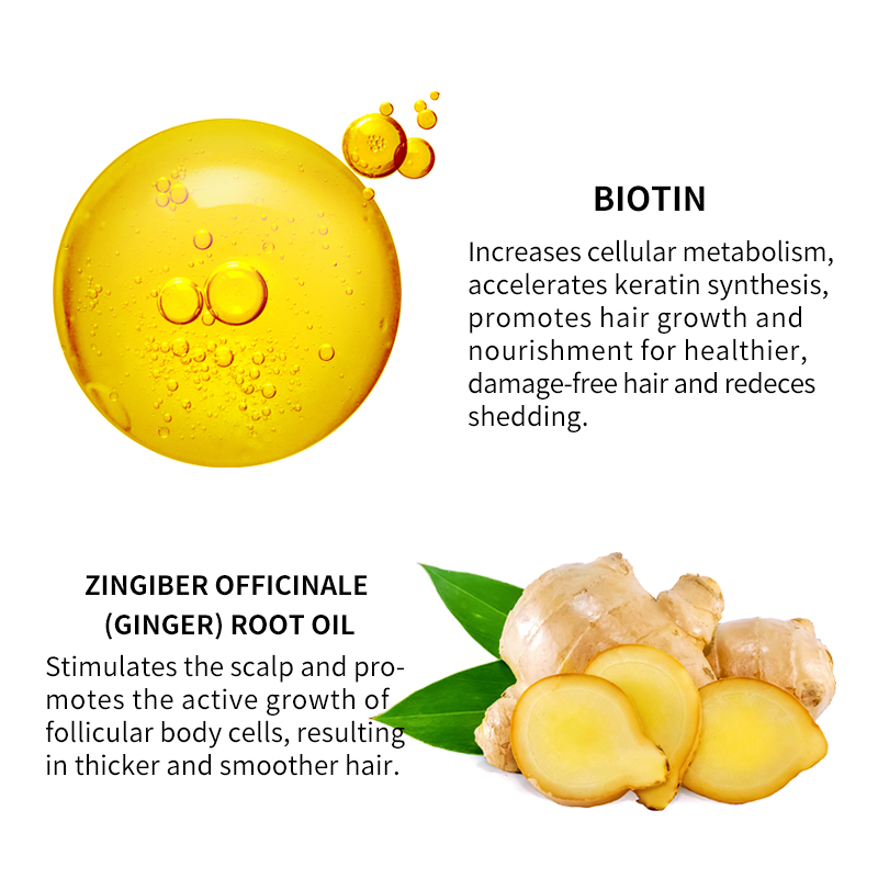 含有生物素和生姜的草本生发精华液